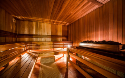 Sauna kaufen