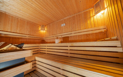 Sauna ganz nach Ihren Wünschen