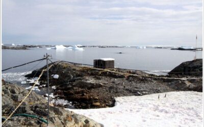 Erfolgreicher Saunabau in der Schweiz: Ein umfassender Ratgeber