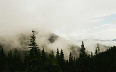 Die Vorteile einer Sauna in der Schweiz: Entspannung und Gesundheit
