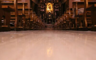 Parkett kaufen: Worauf Sie achten sollten, um die beste Wahl zu treffen