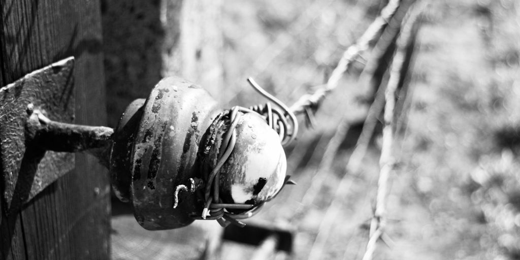 a black and white photo of a fire hydrant