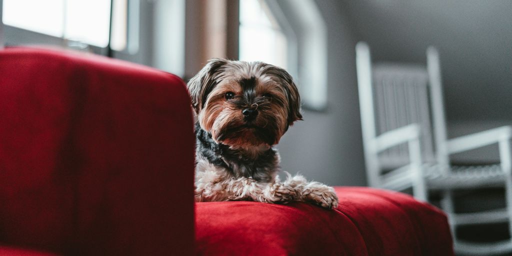 Die besten Tipps für Malerarbeiten in Ihrem Zuhause